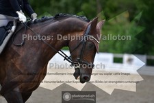 ref. photo 3703881