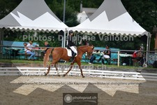 ref. photo 3703930