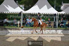 ref. photo 3703954