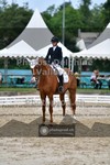 ref. photo 3704004
