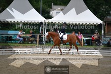 ref. photo 3704009