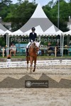 ref. photo 3704010