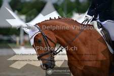 ref. photo 3704013