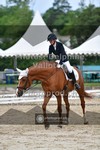 ref. photo 3704041