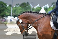 ref. photo 3704105