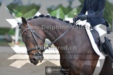 ref. photo 3704155
