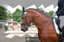 ref. photo 3704176