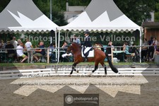 ref. photo 3704196