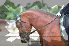 ref. photo 3704201