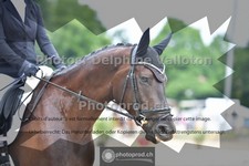 ref. photo 3704242