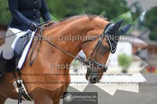 ref. photo 3704359