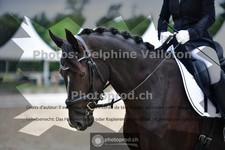 ref. photo 3704409