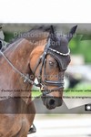 ref. photo 3241682