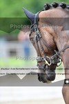 ref. photo 3241695
