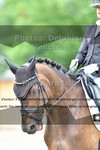 ref. photo 3241707