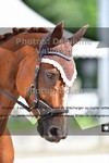 ref. photo 3241844