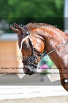 ref. photo 3241850