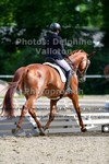 ref. photo 3241852