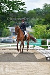 ref. photo 3242123