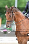 ref. photo 3242145