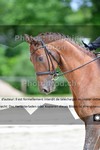 ref. photo 3242155
