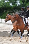 ref. photo 3242316