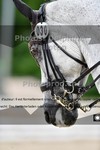 ref. photo 3242418