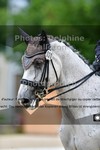 ref. photo 3242450