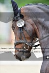 ref. photo 3242519