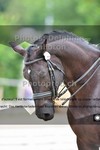 ref. photo 3242647