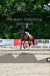 ref. photo 3243094