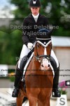 ref. photo 3243122