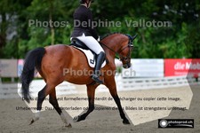 ref. photo 3243123