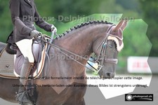 ref. photo 3243169
