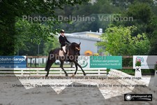 ref. photo 3243179