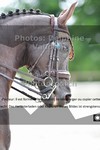 ref. photo 3243183