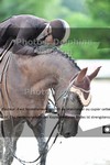 ref. photo 3243188