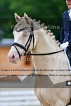 ref. photo 3243332