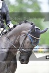 ref. photo 3243844