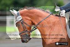 ref. photo 3244140
