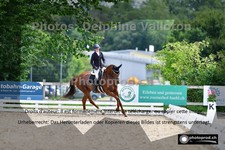 ref. photo 3244645