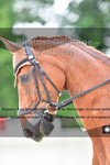 ref. photo 3245173
