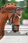 ref. photo 3245181