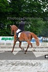 ref. photo 3245185