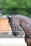 ref. photo 3245434