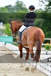 ref. photo 3245627