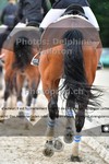ref. photo 3246175