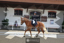 ref. photo 3652392