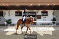 ref. photo 3652412