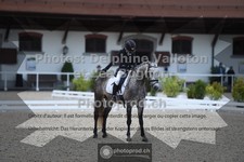 ref. photo 3652438